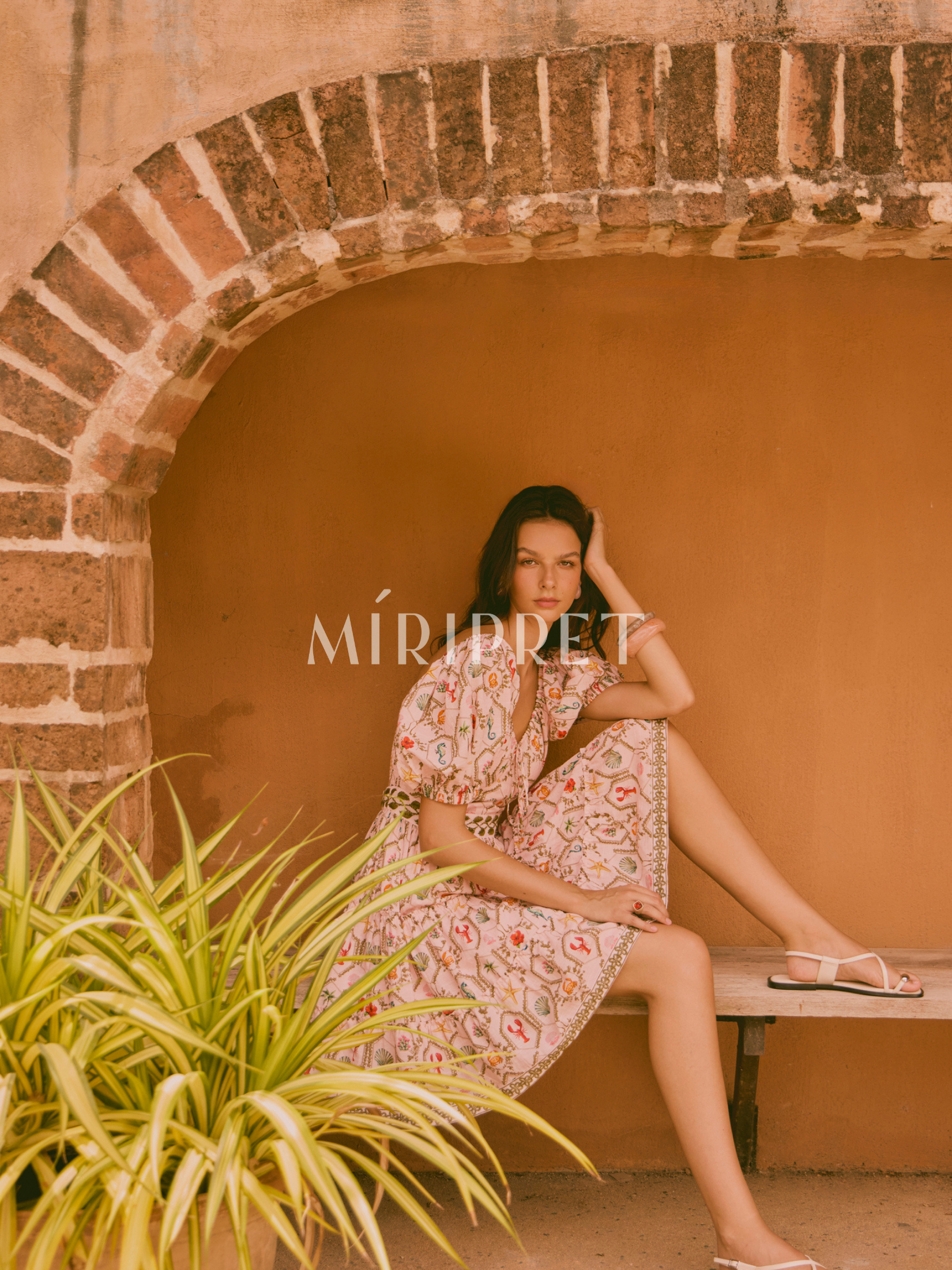 ARISTA DRESS